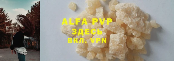 амф Гусиноозёрск