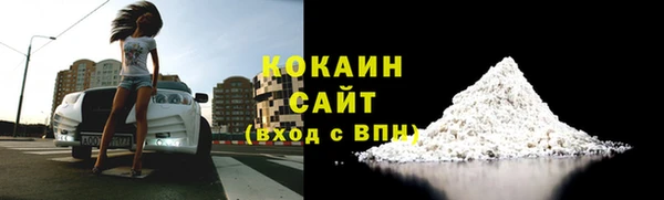индика Конаково