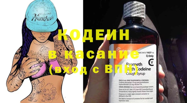 амф Гусиноозёрск