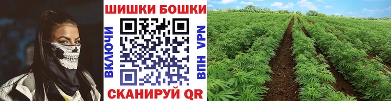 наркошоп Оха Каннабис Amnesia